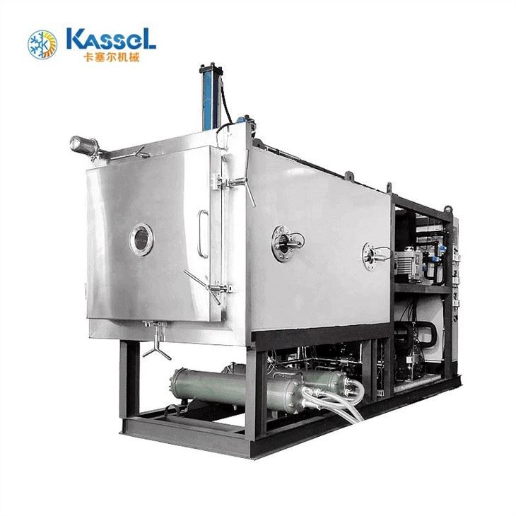 China Pharmaceutical Freeze Dryer factory