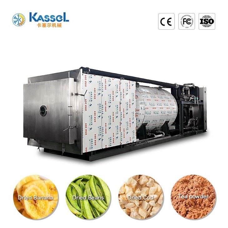 China Pharmaceutical Freeze Dryer wholesale